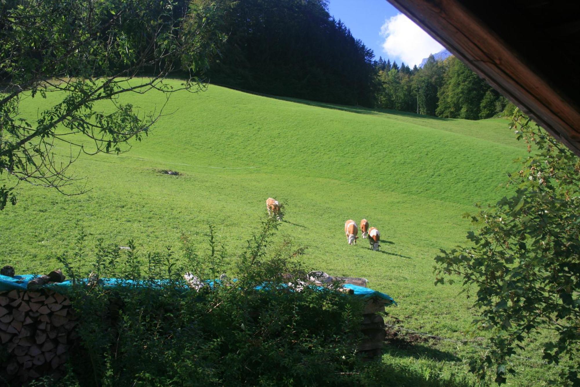 Alpenhotel Beslhof Ramsau bei Berchtesgaden Εξωτερικό φωτογραφία